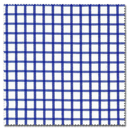 Blue & White Check Shirt