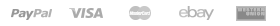 Logo Payment